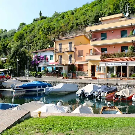 Edera * Polpenazze del Garda